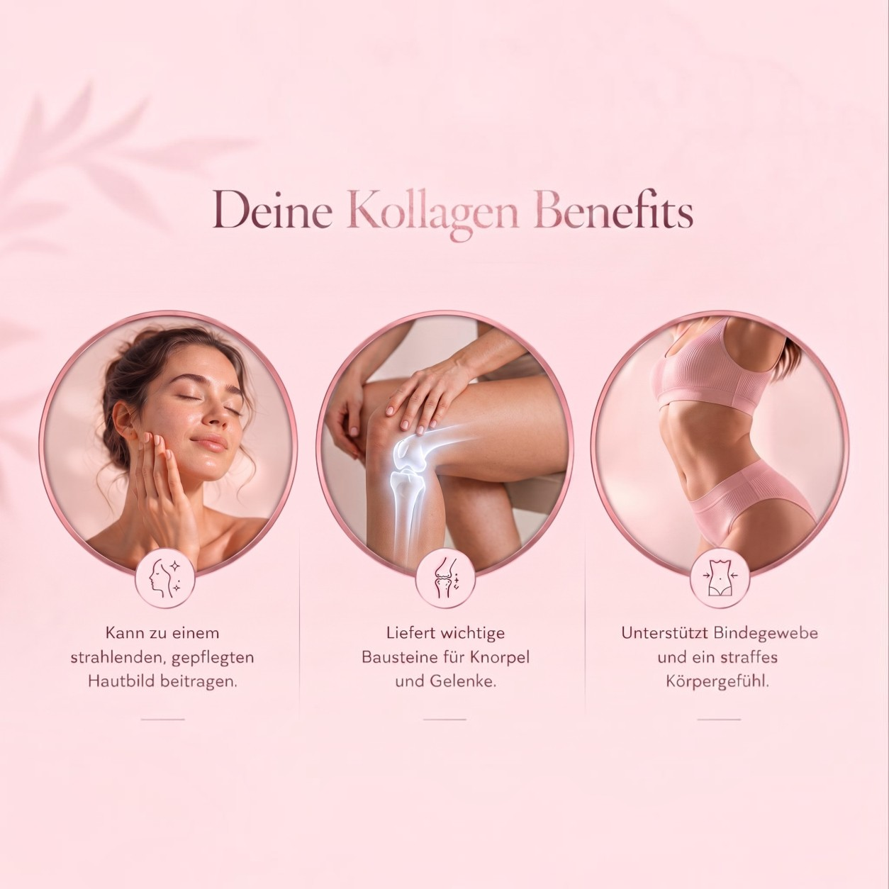 100 % Kollagen Hydrolysat mit Vitamin C